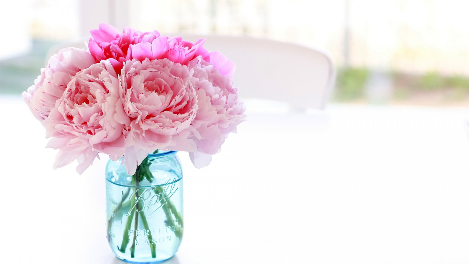 Wallpaper Bouquet Peony Bank Pale Pink Peonies In A
