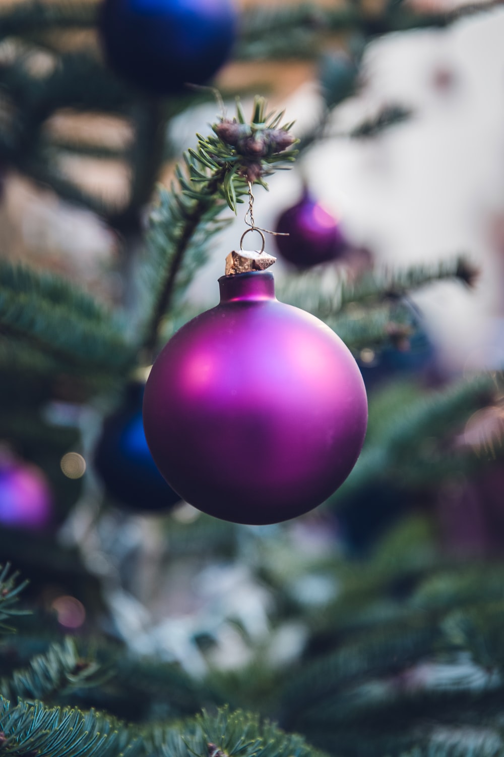 Christmas Ornament Pictures Download Free Images on