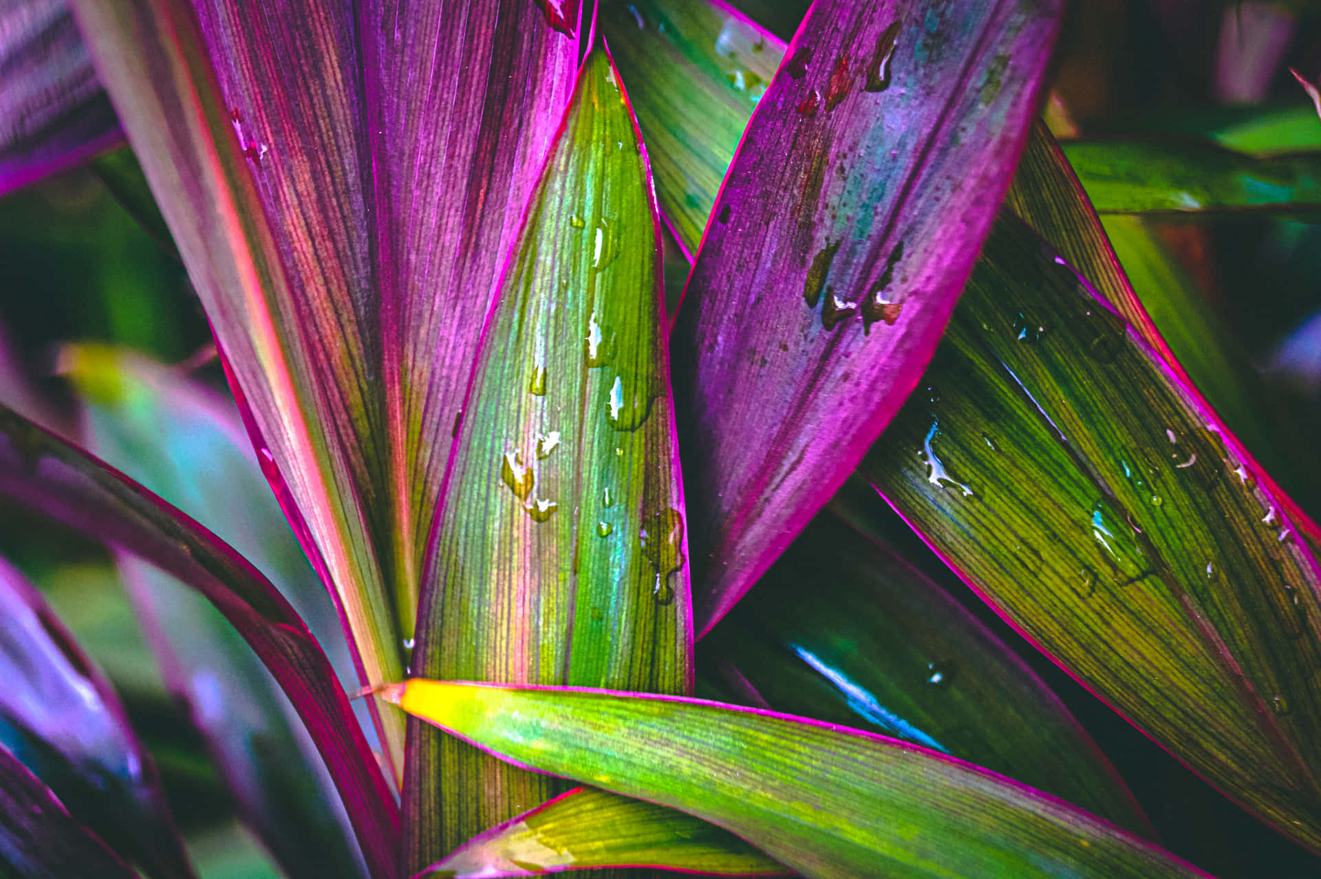 HD Satisfying Wallpaper