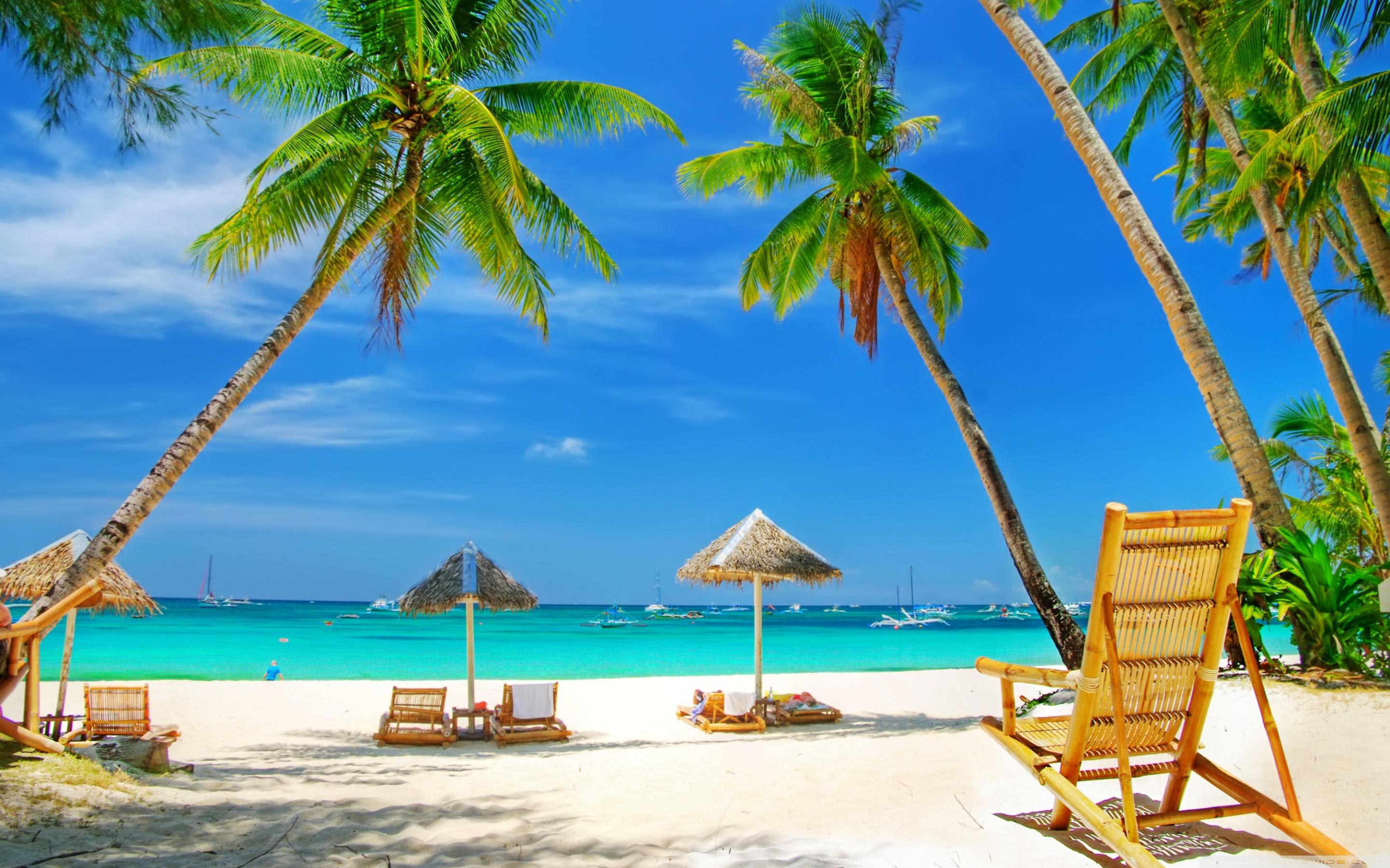Tropical Paradise Beach Ultra HD Desktop Background Wallpaper For