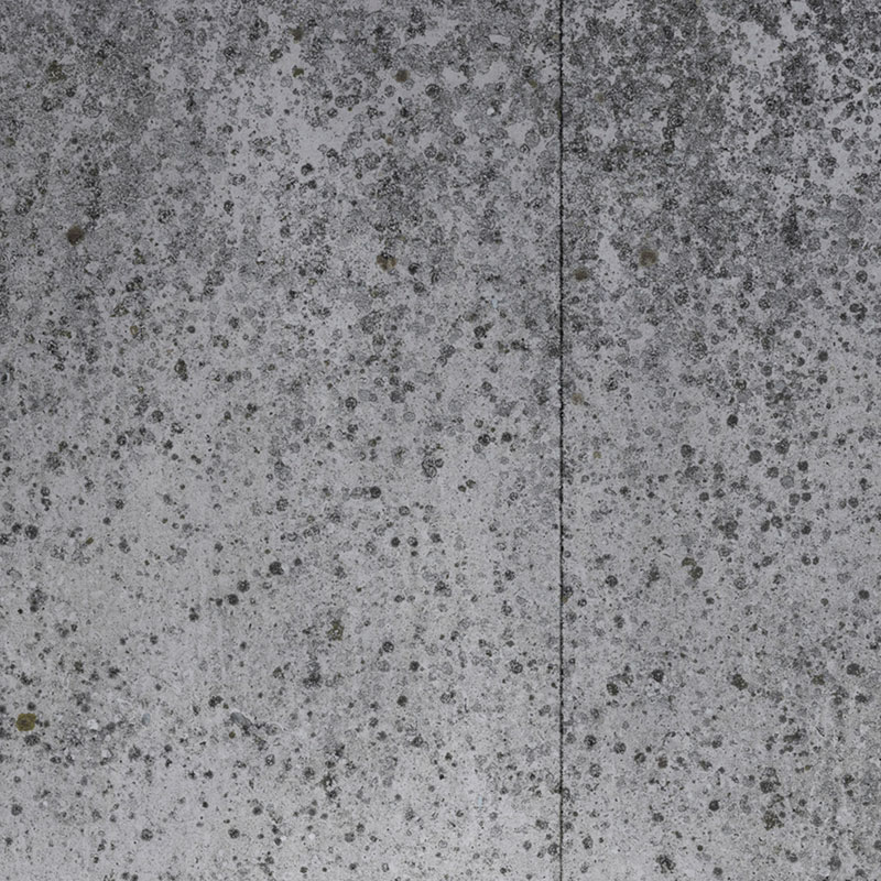 Concrete Wallpaper Nlxl Piet Boon Con