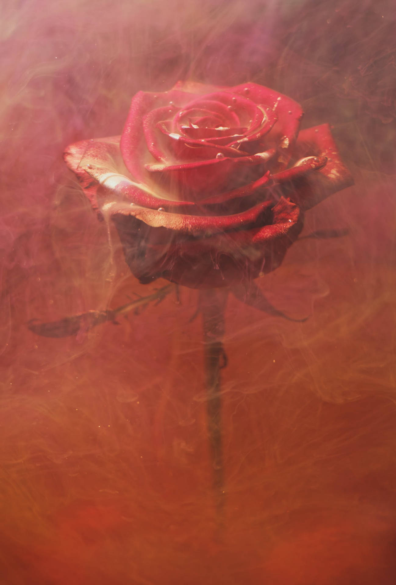Top Red Baddie Wallpaper Full HD 4k To Use