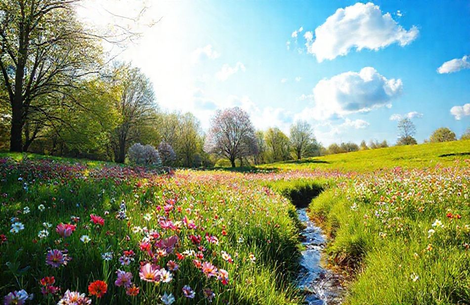 Spring Screensavers And Wallpaper