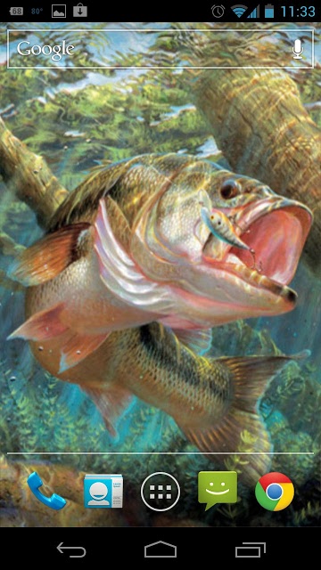 Bass Fish Live Wallpaper Magic Touch Ripplesin This
