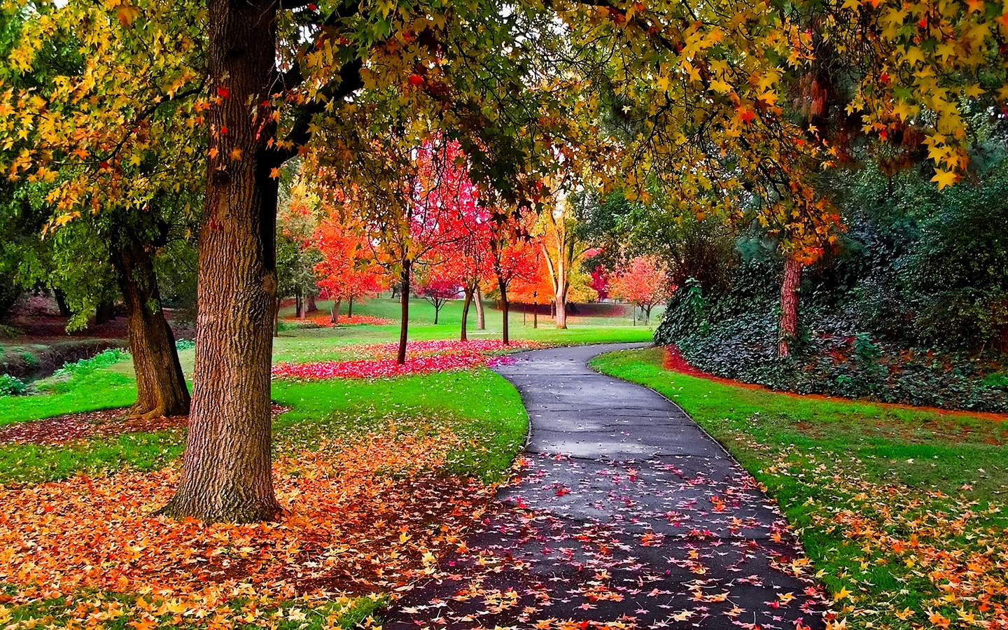 Autumn In The Park Wallpaper