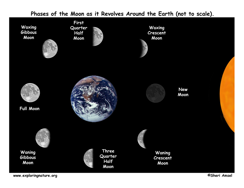 Science For Kids Moon Phases With Image Smileplaylearn