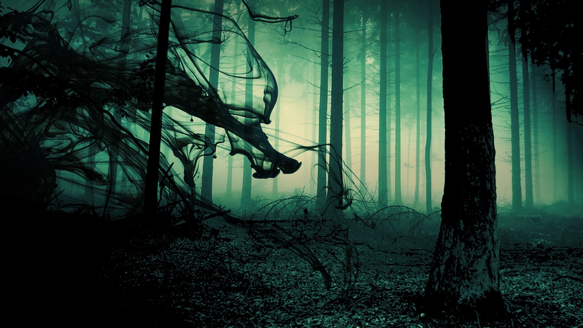 Psychedelic Nature Trees Forest Fog Mood Sunlight Moonlight Light