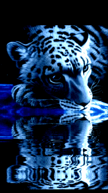 White Tiger Screensaver Wallpaper360x640 Wallpaper