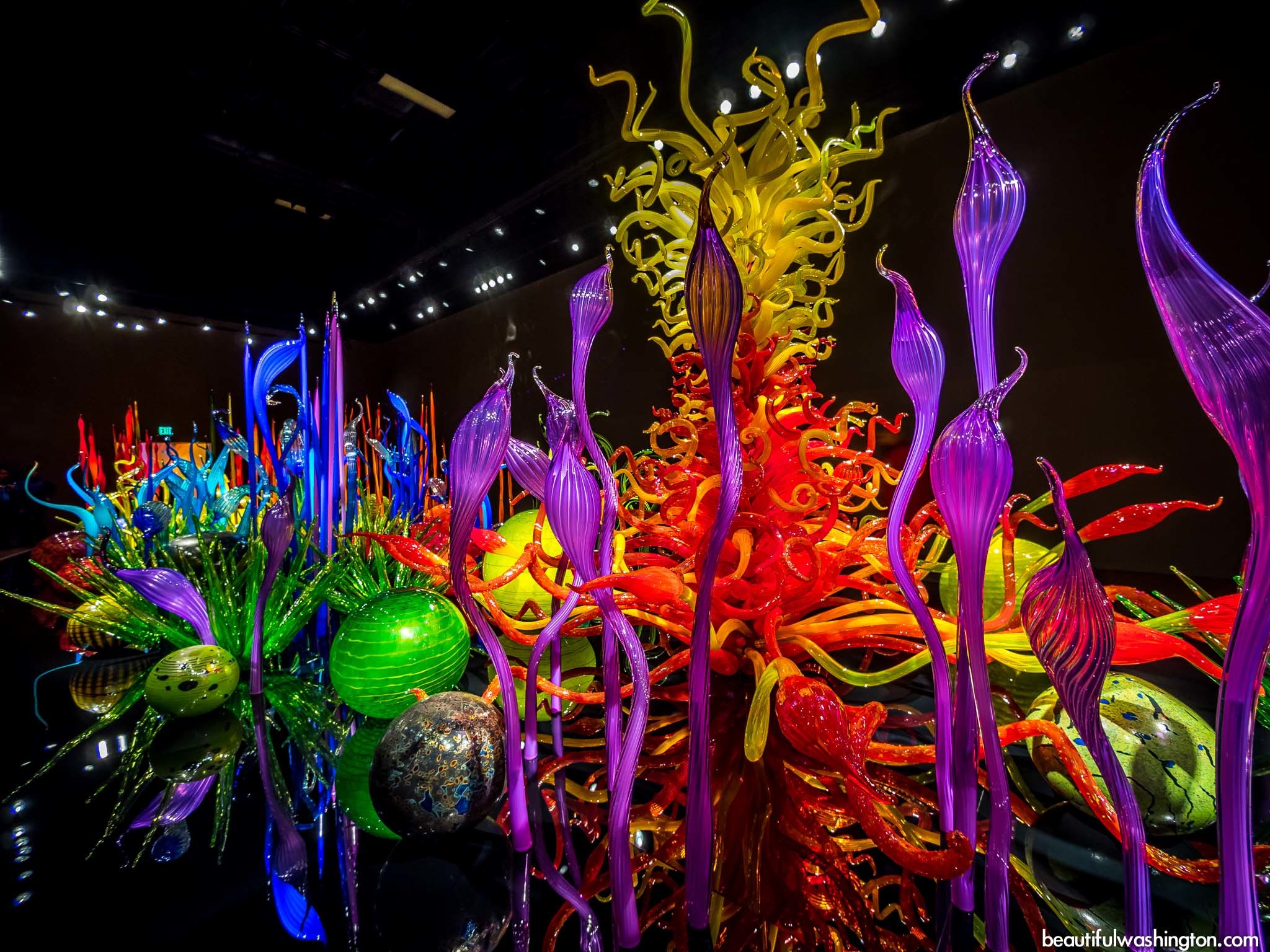 Chihuly Wallpaper Image