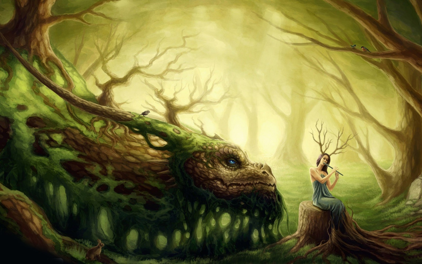 Forest Fairy And Dragon