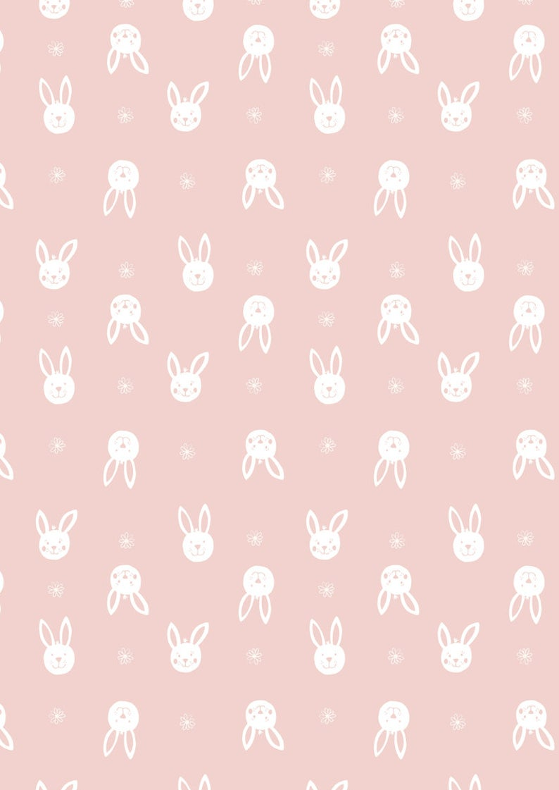 Bunny aesthetic Wallpapers Download  MobCup