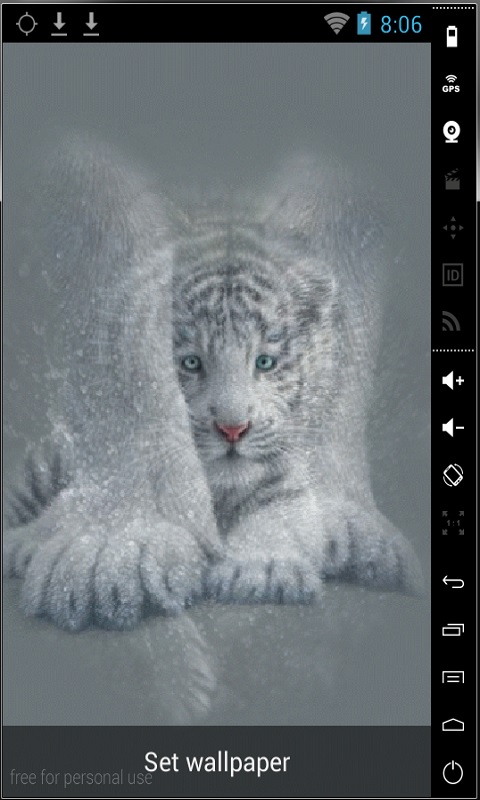 Download White Bengal Tiger Live Wallpaper free for your Android phone