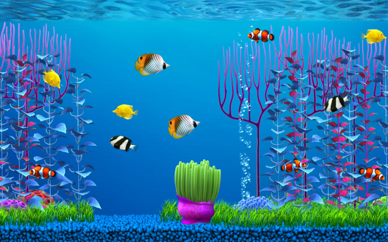 mac fish tank screensaver