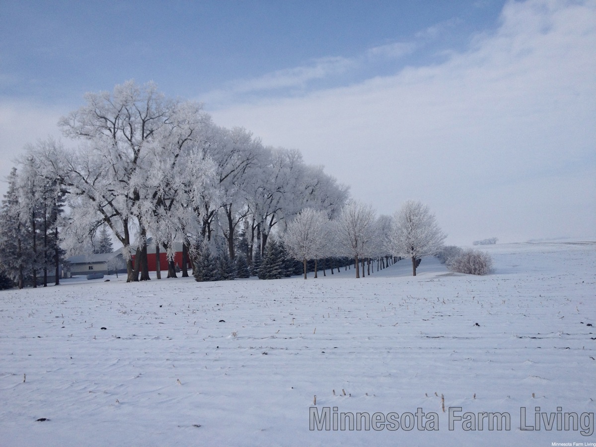 Follow These Topics Minnesota Farm Winter