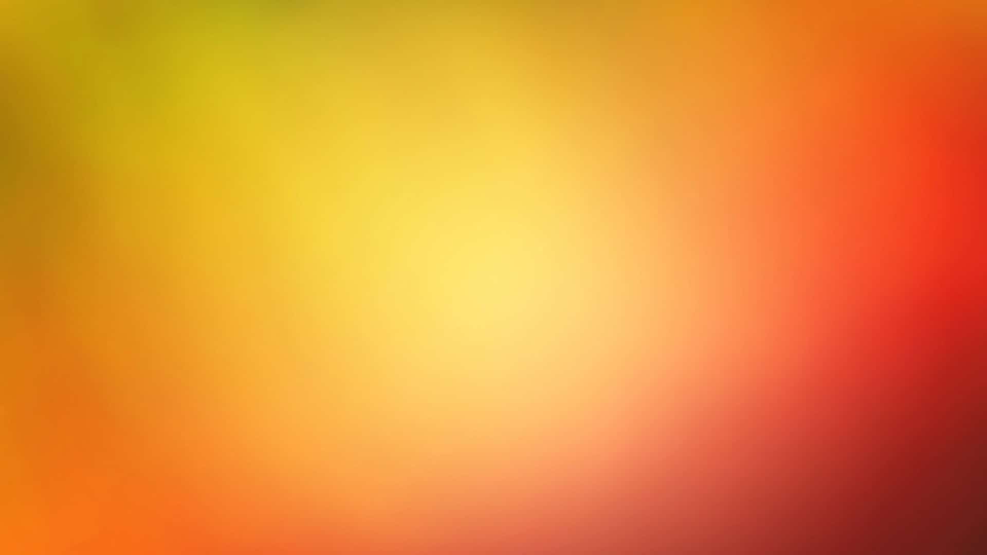 Bright Color Wallpaper For Desktop