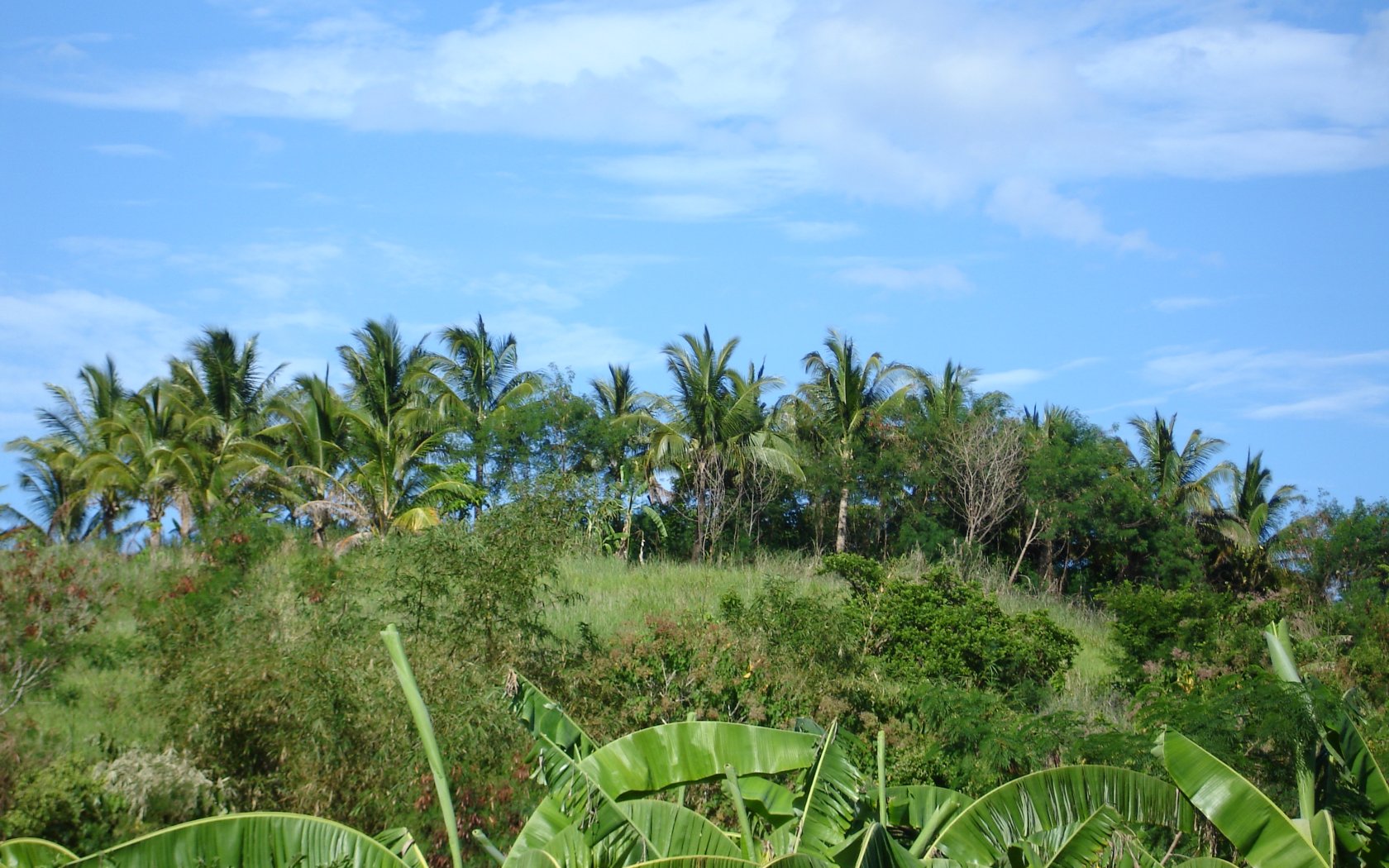Tropical island nature widescreen desktop backgrounds