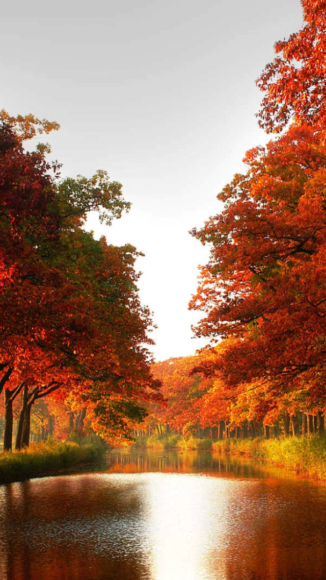 Autumn River Wallpaper iPhone