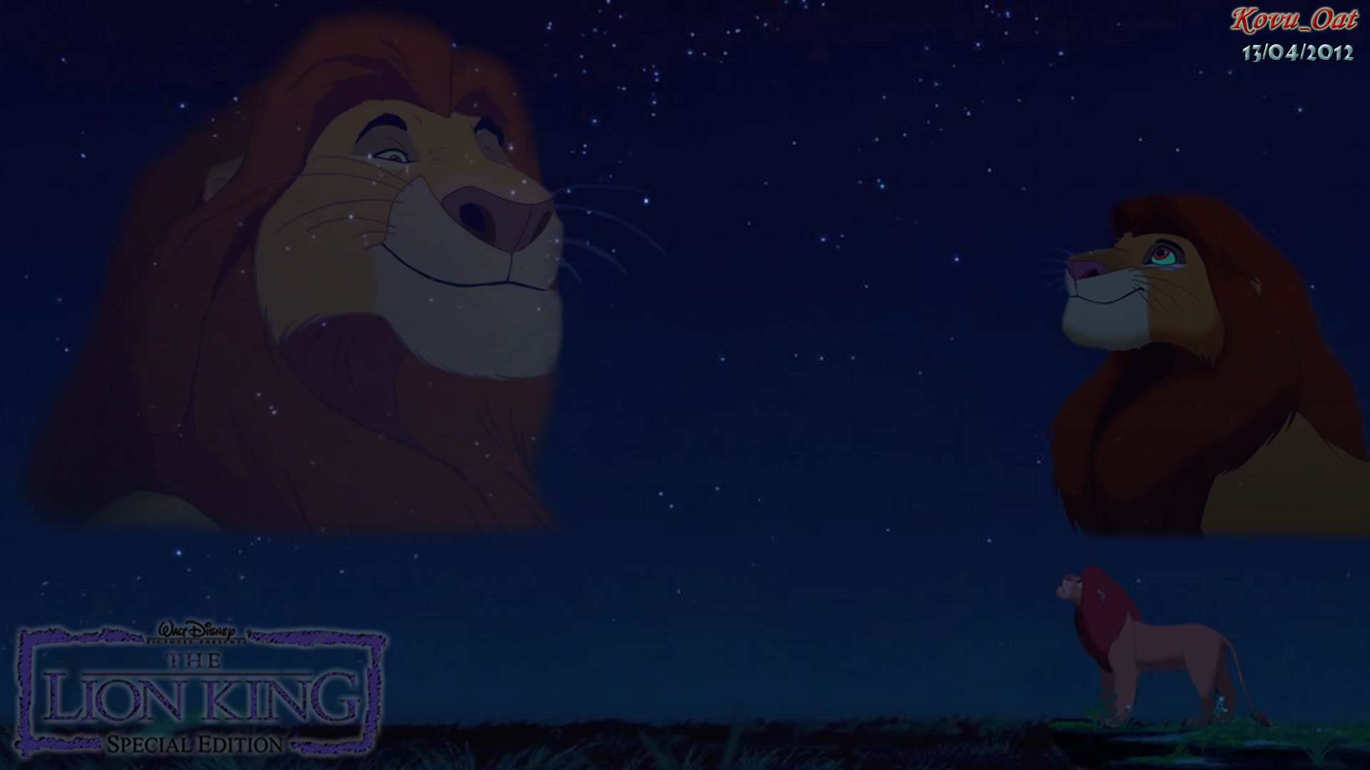 Simba Love Night Sky Wallpaper HD And Background Photos