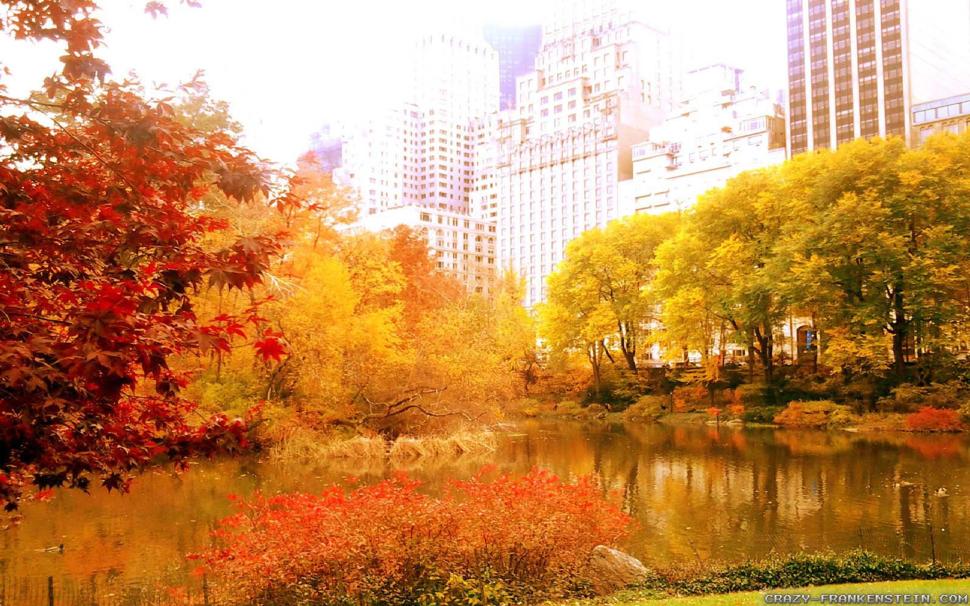 New York City Autumn In Wallpaper Jpg