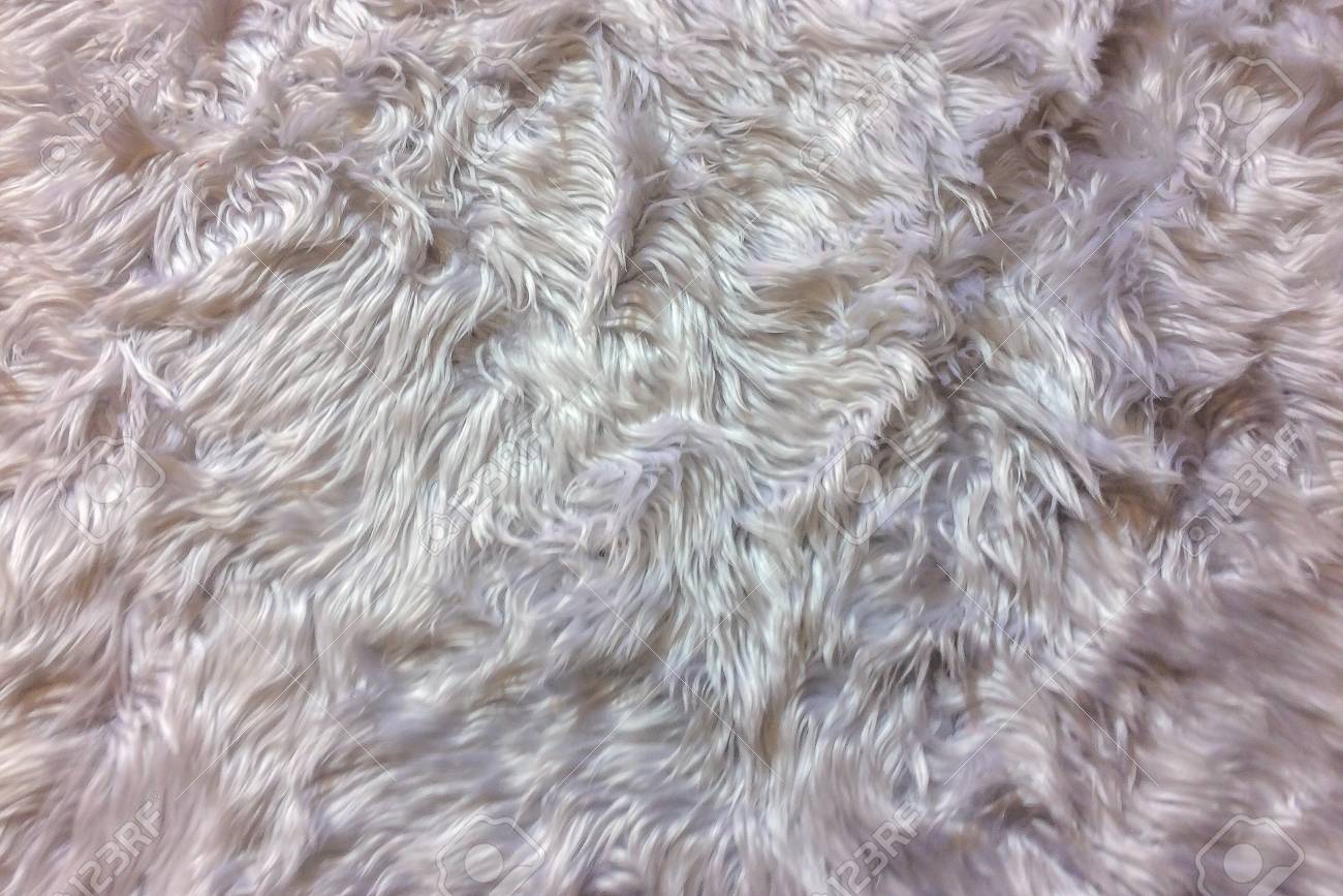 Wool Background Texture Closeup Of Natural Soft White Animal