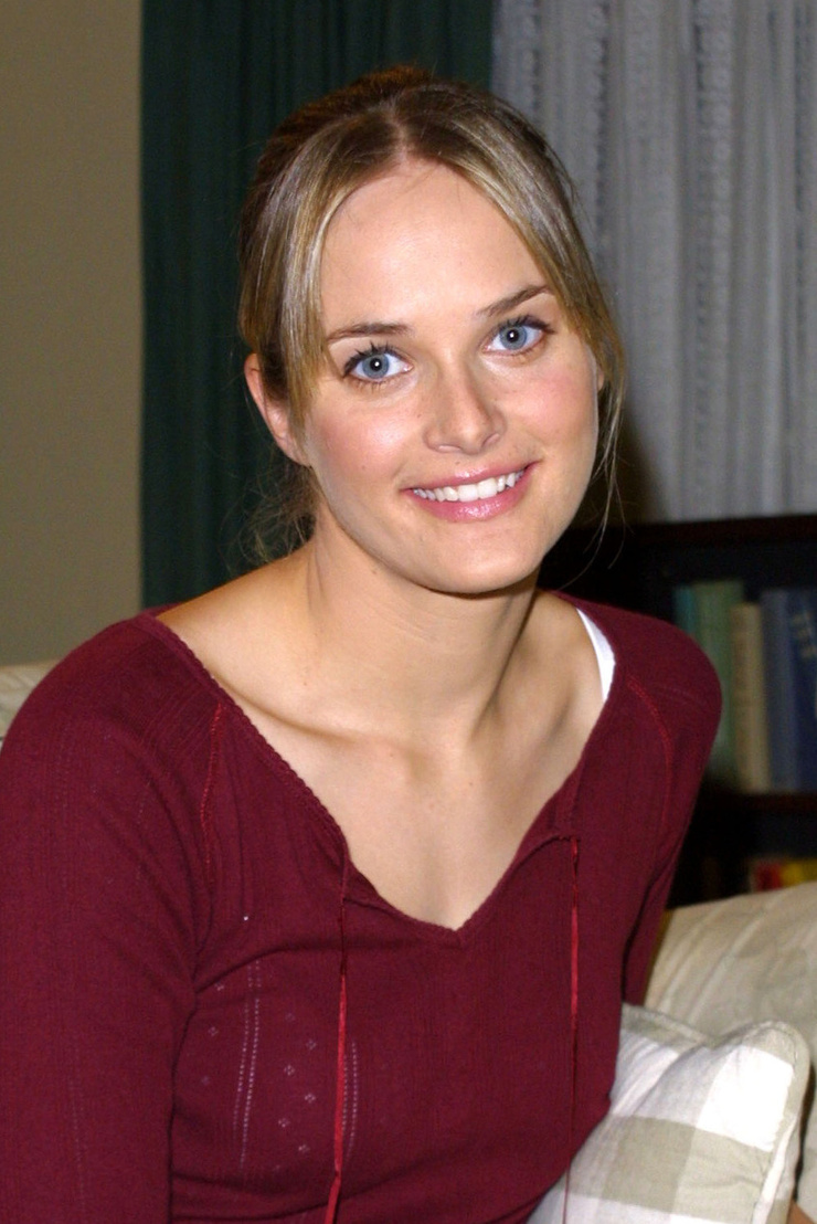 Rachel Blanchard Image Wallpaper