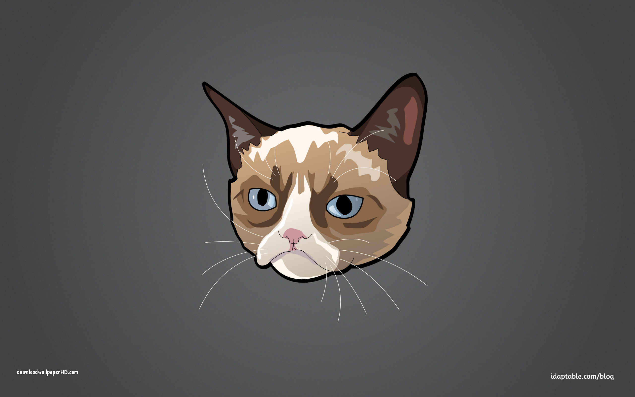Grumpy Cat in Space HD Wallpaper for Desktop