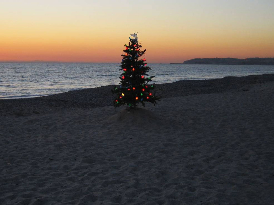 Christmas Tree On A Beach Wallpaper