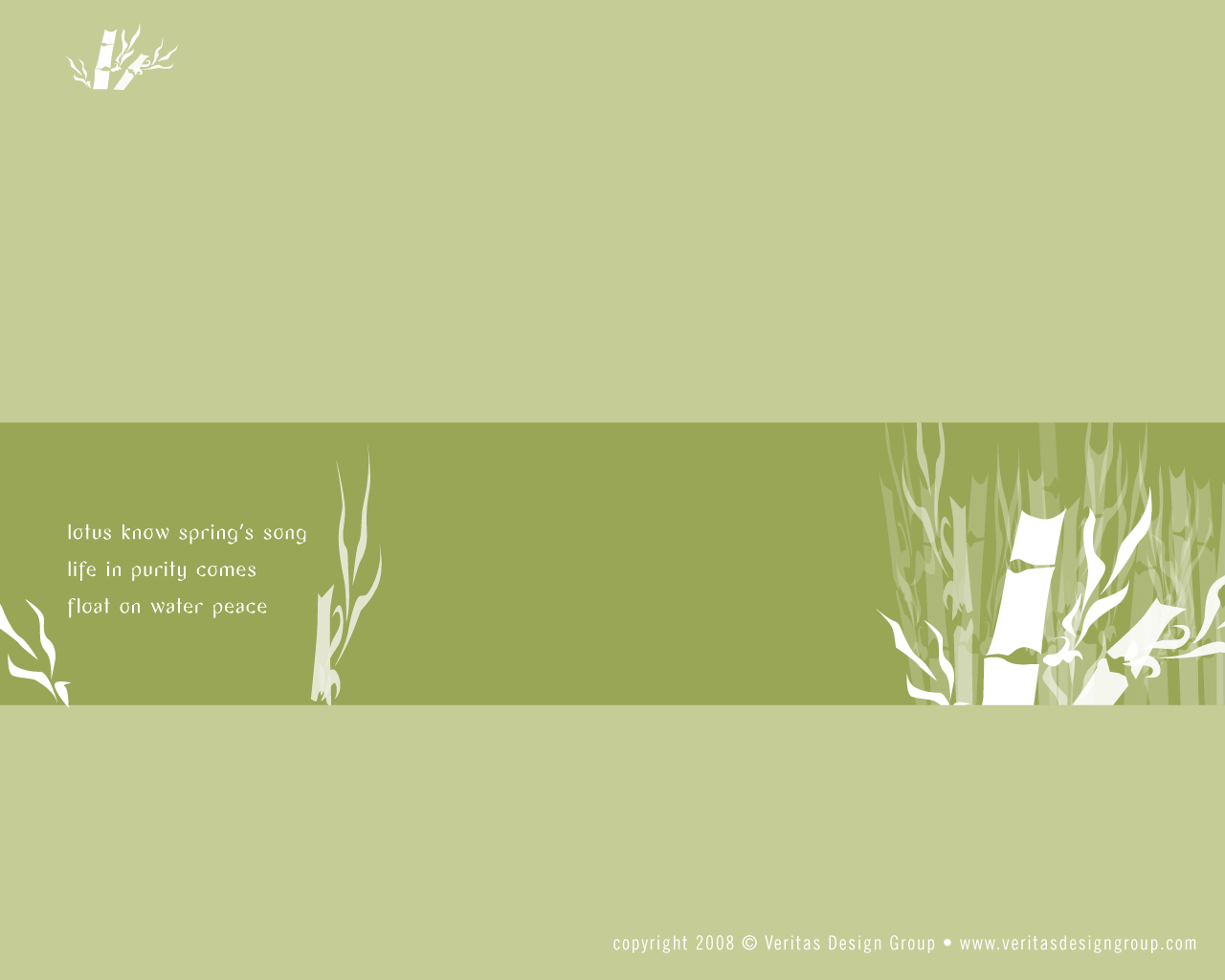 Bamboo Stems On White Background HD Desktop Wallpaper