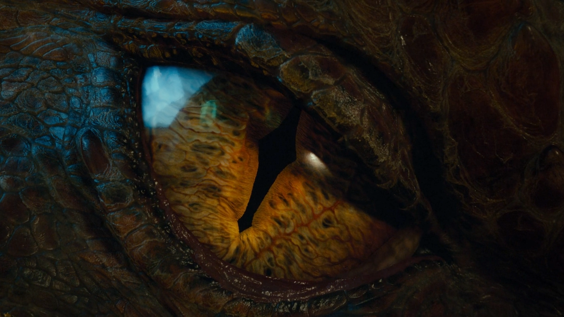 Eye Of The Dragon Hobbit Desolation Smaug Wallpaper