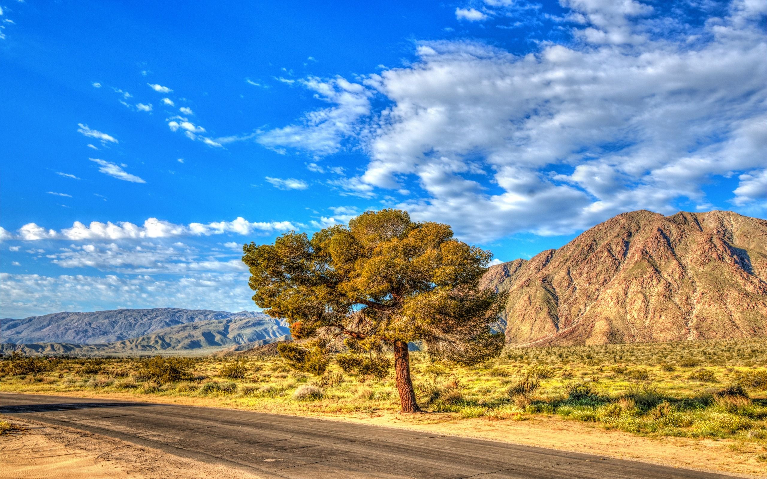 California Summer Wallpaper