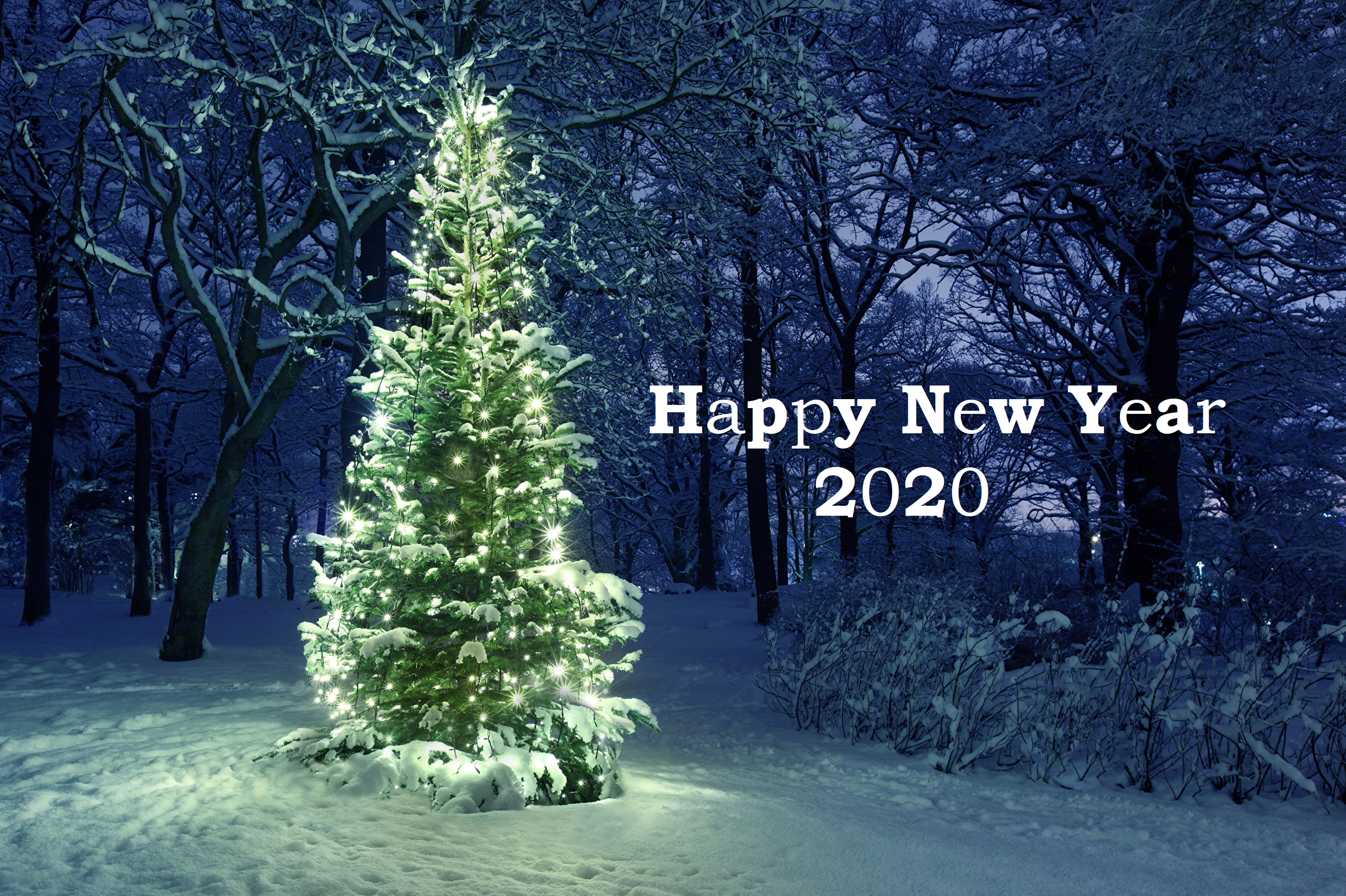 New Year 2020 HD Wallpaper Background Image 2560x1706 ID