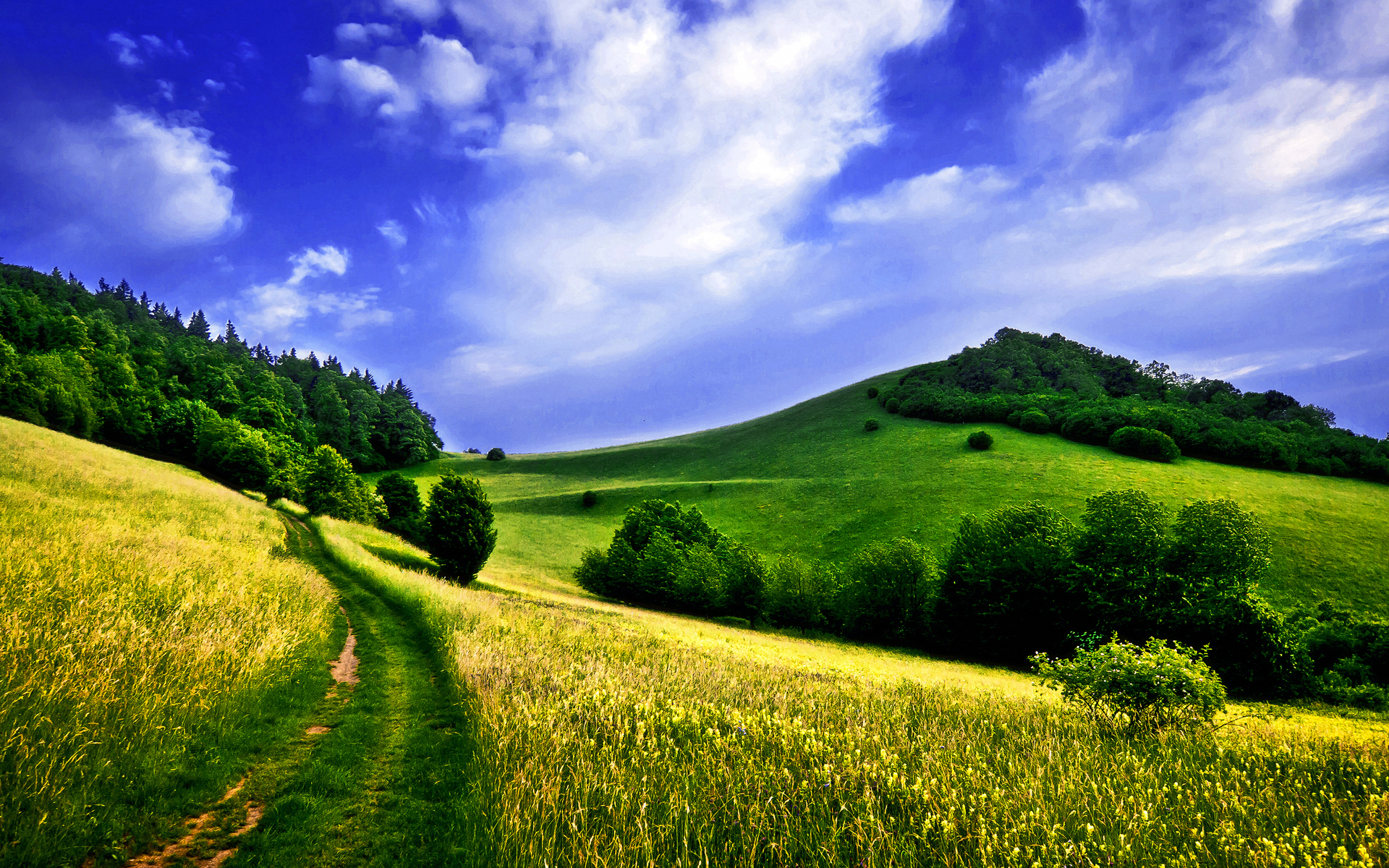 Free green meadows wallpaper background