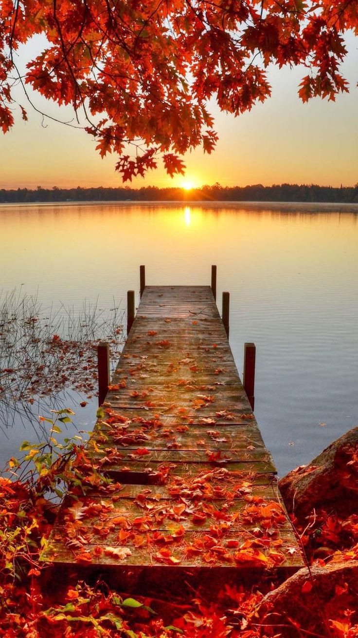 Best Fall iPhone Wallpaper HD Beautiful Autumn Sunset