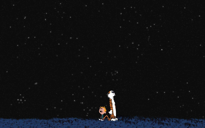 Calvin And Hobbes Childhood Stargazing Entertainment Funny HD