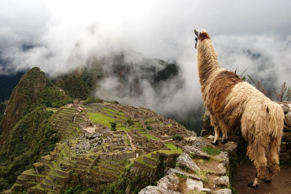 Ruins Peru Wallpaper Machu Picchu
