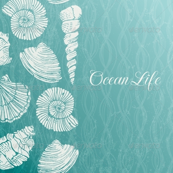 Background With Sea Shells Miscellaneous Vectors