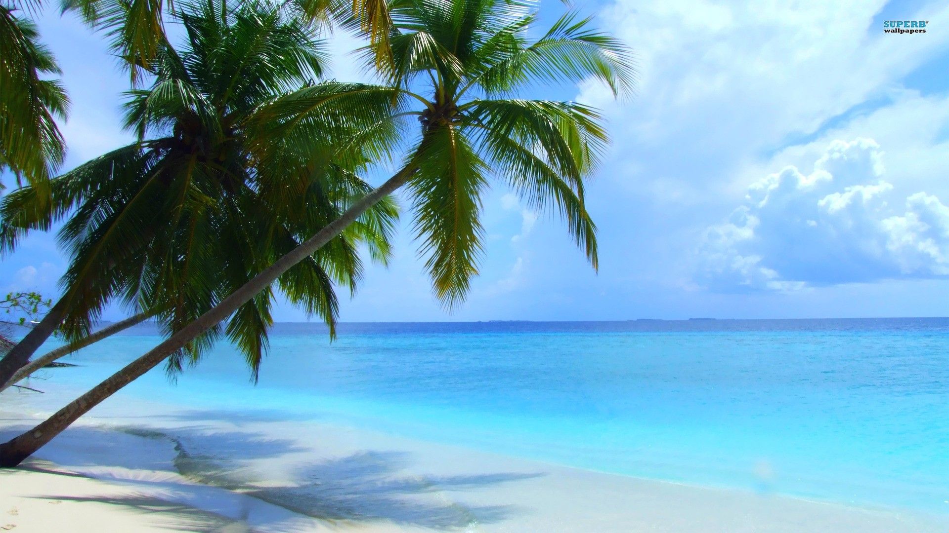 Image Of Seasons Beach Summer Season Maldives Fresh