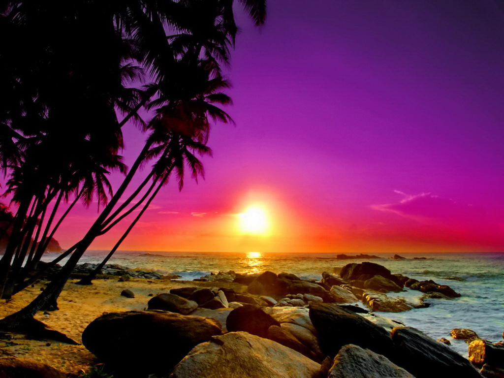 Tropical sunset wallpaper   ForWallpapercom