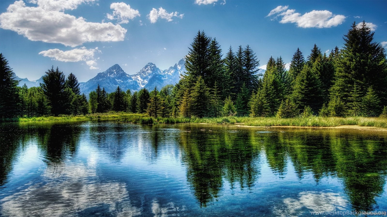 See B Ume Berge Natur Landschaft HD Wallpaper Desktop