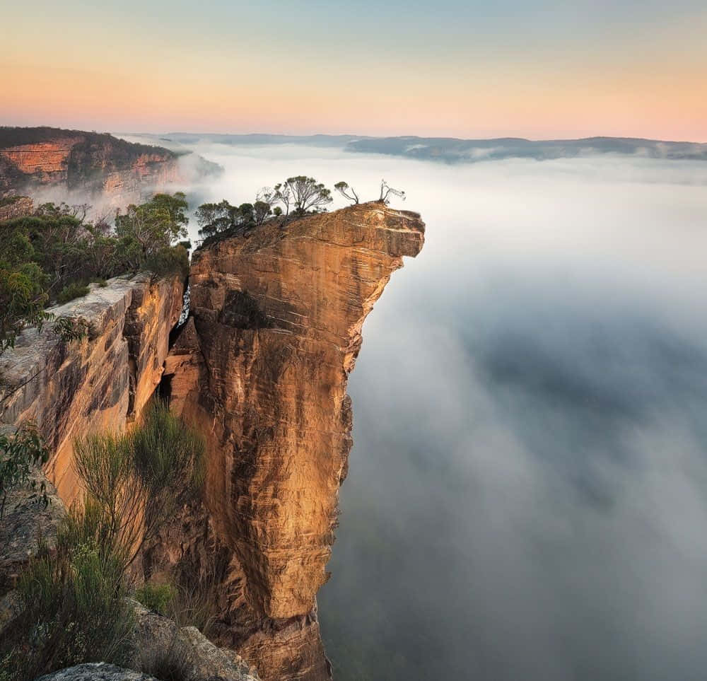 Blue Mountains National Park Wallpaper
