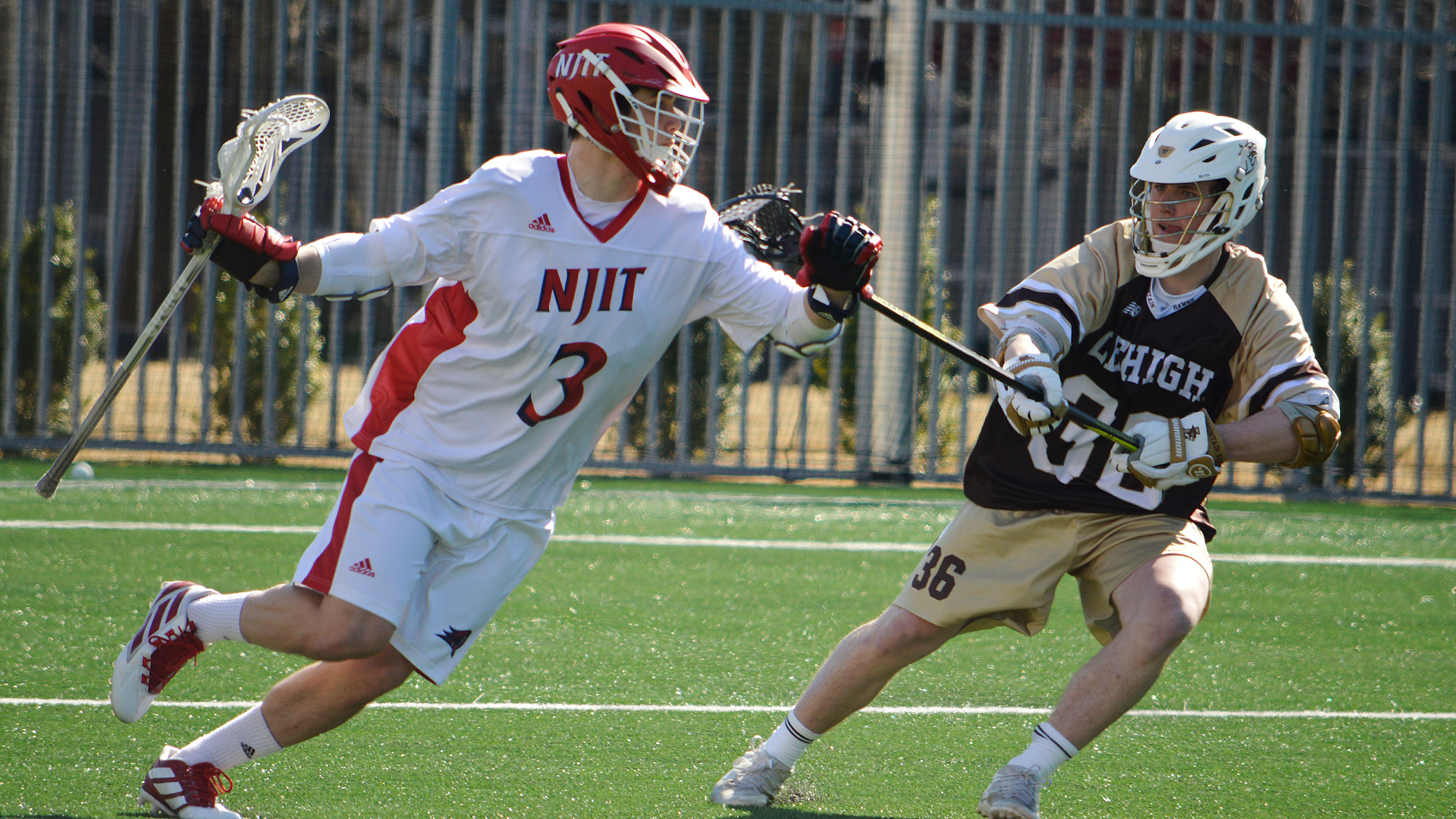 Vincent D Agostino Men S Lacrosse New Jersey Institute Of