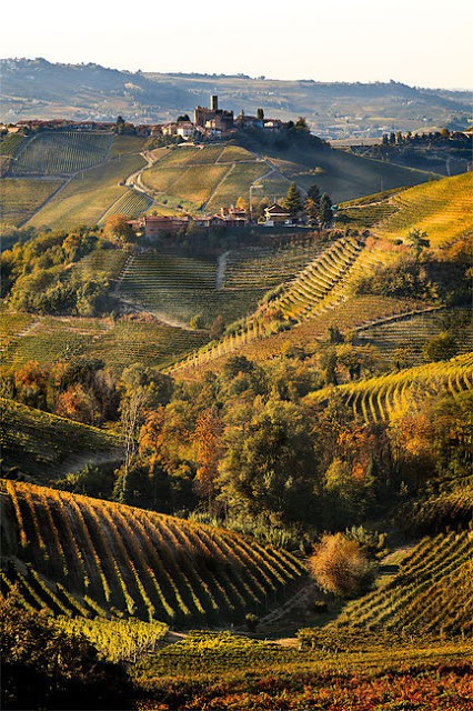 Italian Vineyard Wallpaper Bucolic Countryside