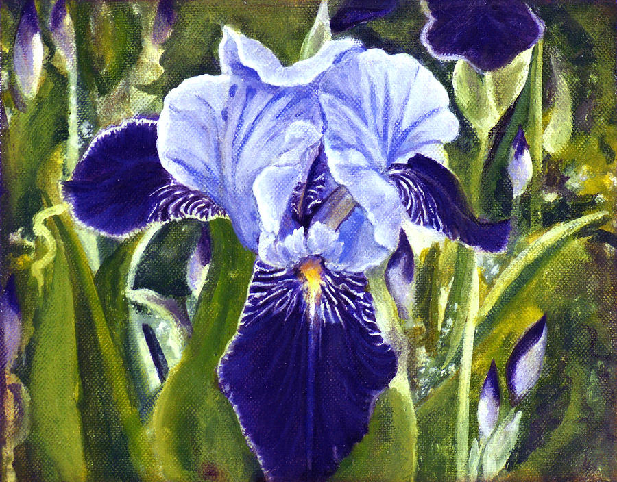 Purple Iris Acrylic Flower Painting S Photos How Cre
