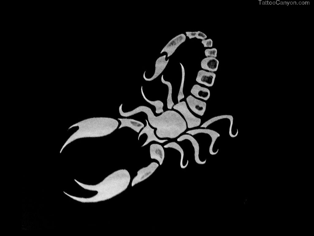 Scorpion Tattoo Wallpaper Picture