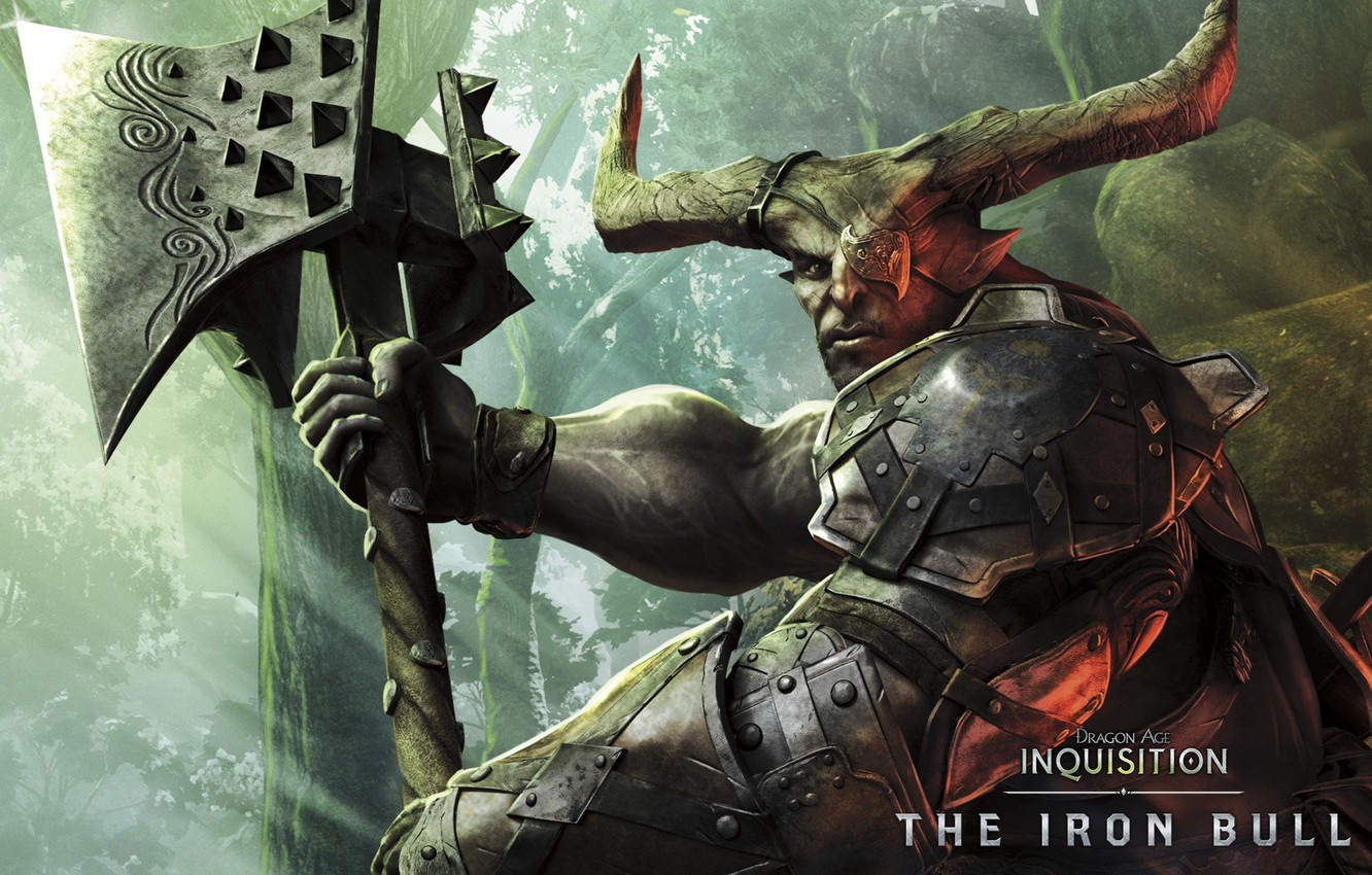 Wallpaper Warrior Bioware Electronic Arts Dragon Age