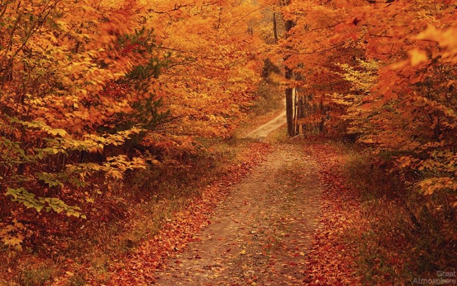 Fall Scenery in New England httpgreatatmospherewordpresscom2013