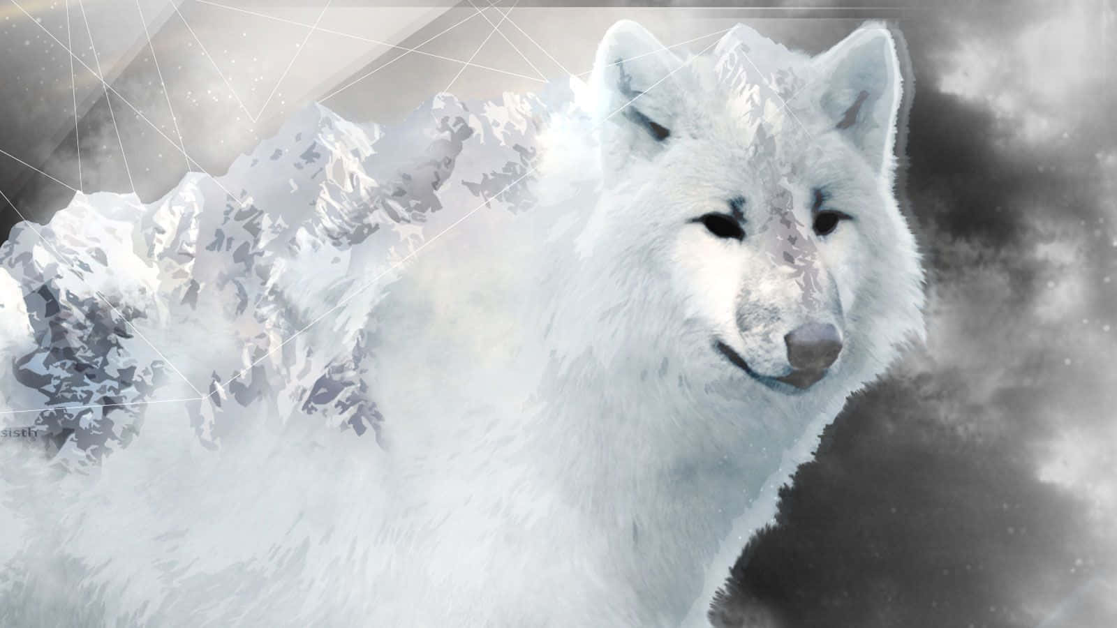 White Wolf Wallpaper