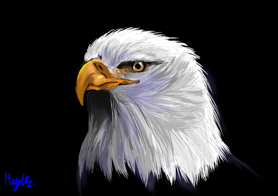 Contacts Eagle Paint And Wallpaper Inc Englewood New