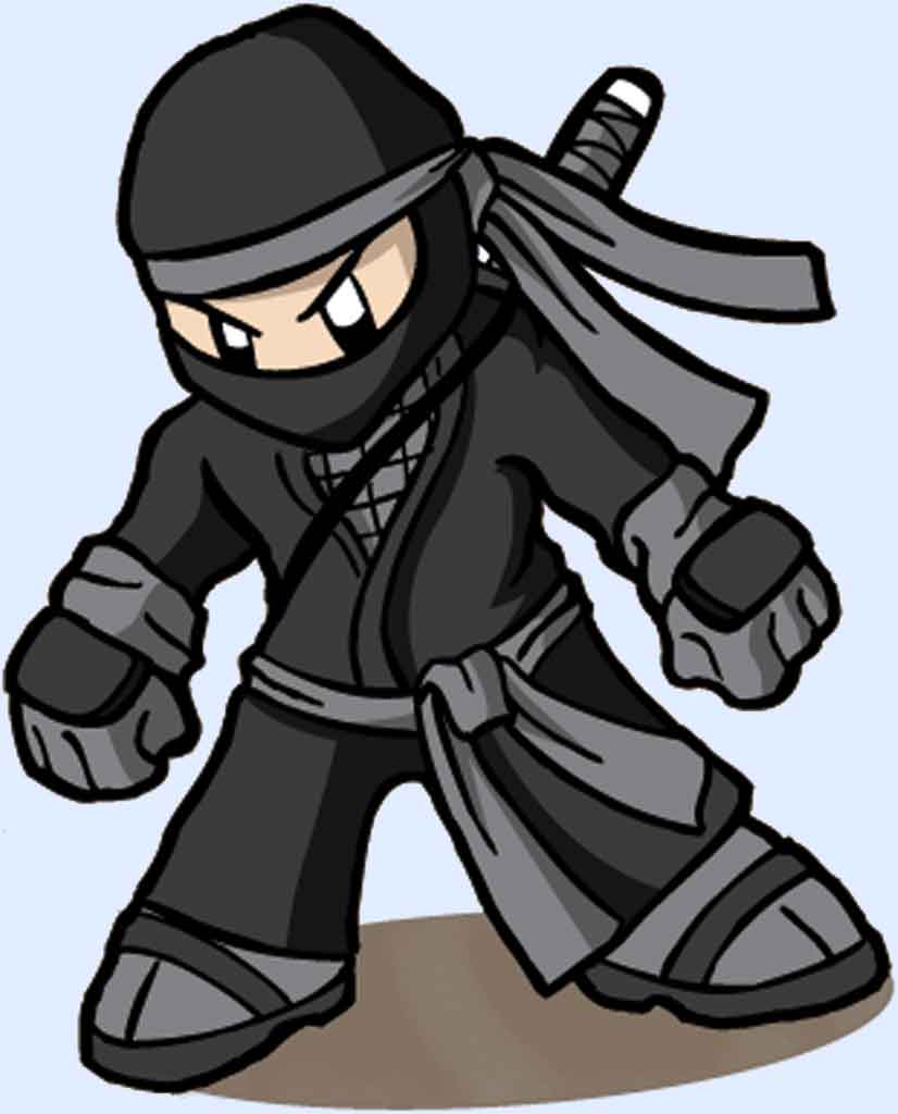 MATHS SET   Ninja game