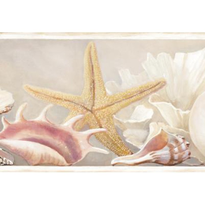Free download Die Cut Seashell Wall Border Wallpaper Border Wallpaper